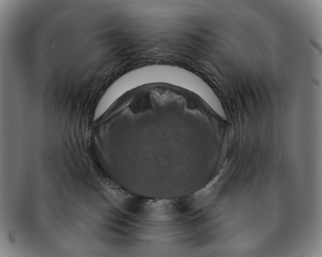 X0000091000186200708301343
