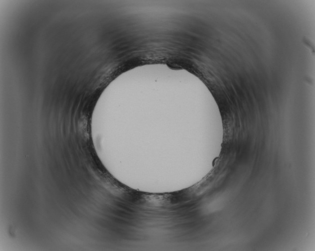 X0000091000187200708301343