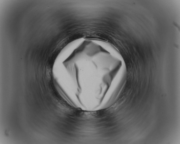 X0000091000188200708301343