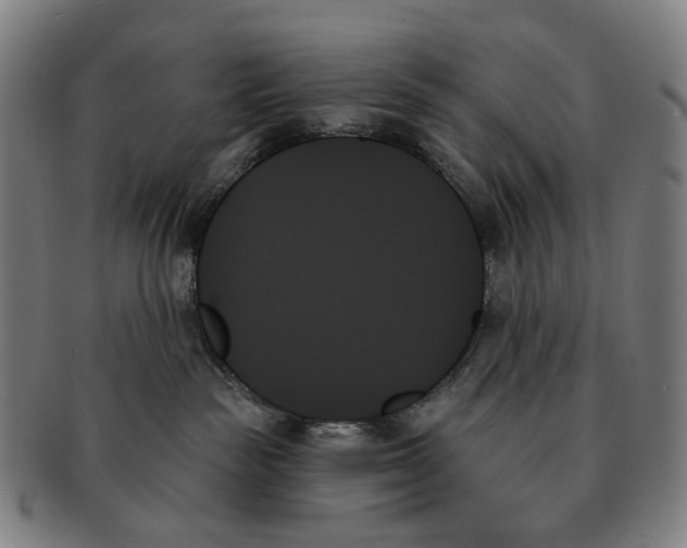 X0000091000189200708301343