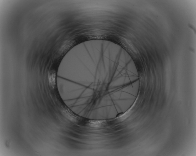 X0000091000190200708301343