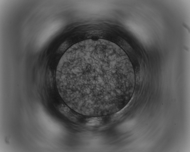 X0000091000191200708301343