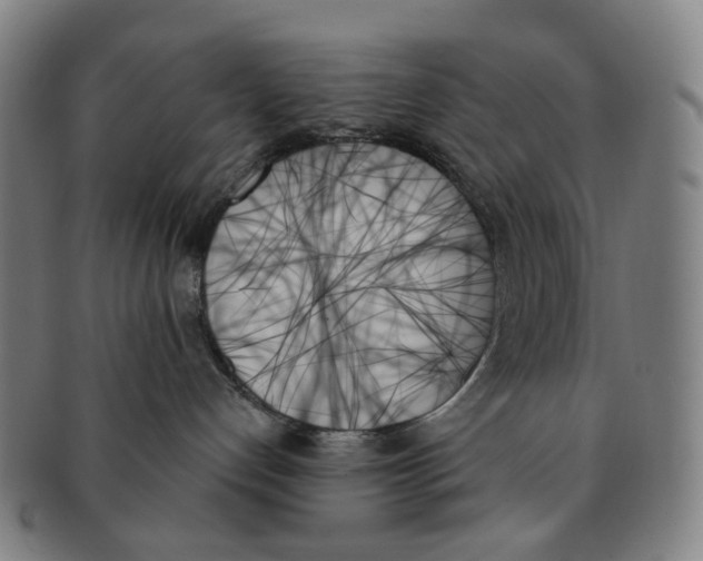 X0000091000192200708301343