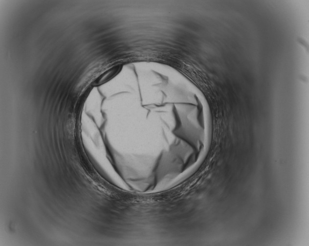 X0000091000194200708301342