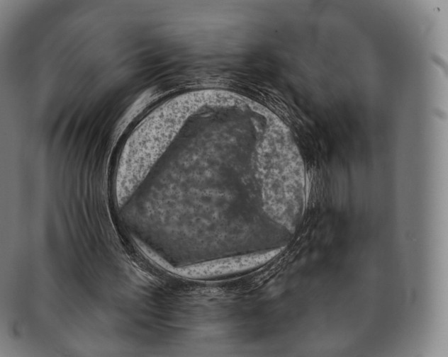 X0000091000195200708301342