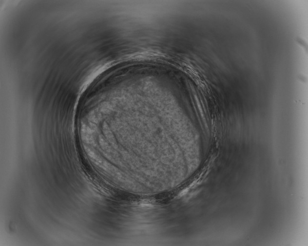 X0000091000196200708301342