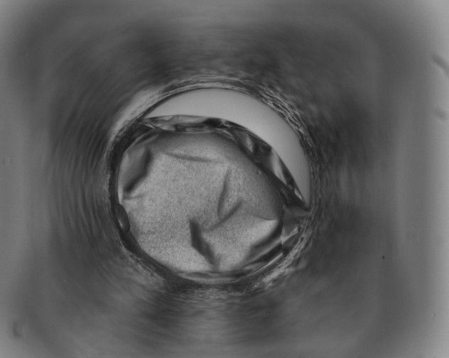 X0000091000197200708301342