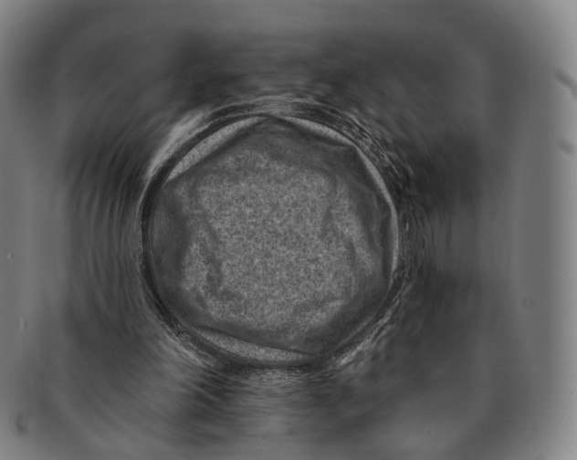 X0000091000198200708301342