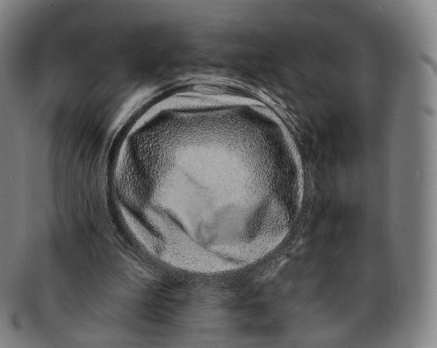 X0000091000199200708301342