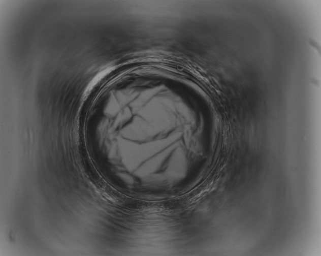 X0000091000200200708301342