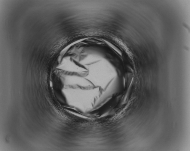 X0000091000201200708301342