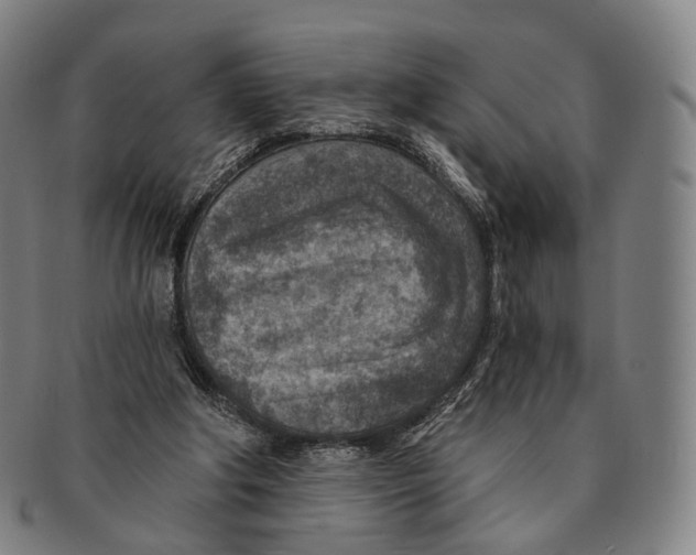 X0000091000202200708301342