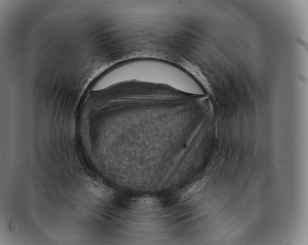 X0000091000204200708301342