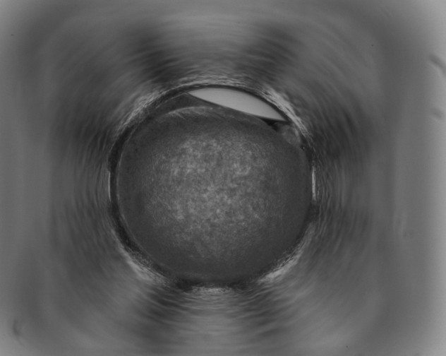 X0000091000205200708301342