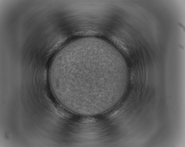 X0000091000206200708301342