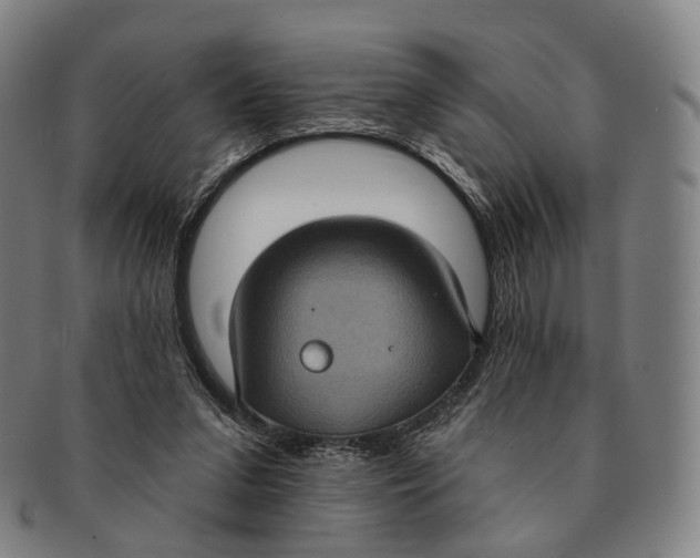 X0000091000207200708301342