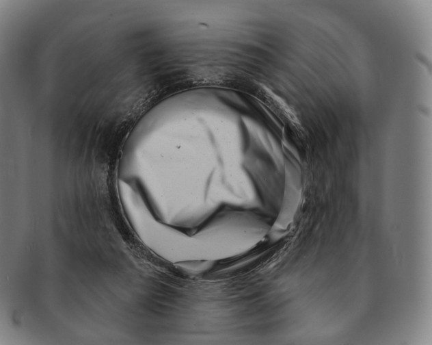 X0000091000209200708301342