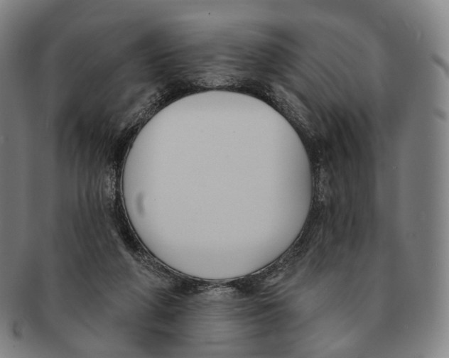X0000091000210200708301342