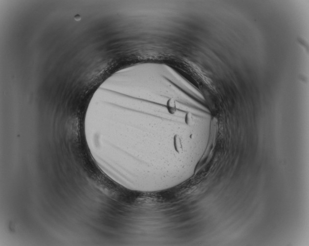 X0000091000211200708301342