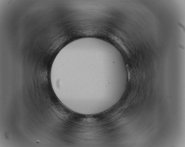 X0000091000212200708301342