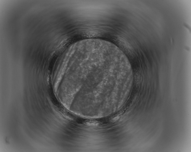 X0000091000214200708301342