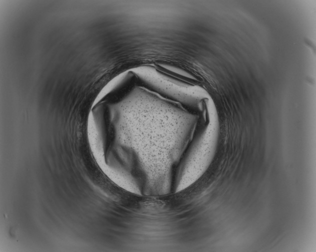 X0000091000215200708301342