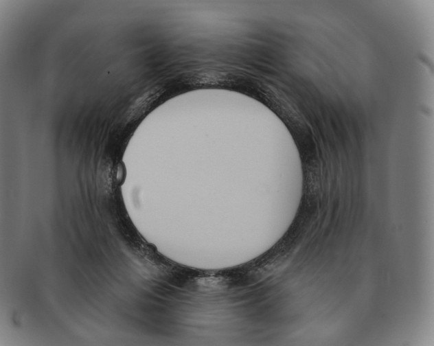 X0000091000216200708301342
