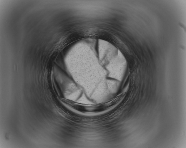 X0000091000217200708301342
