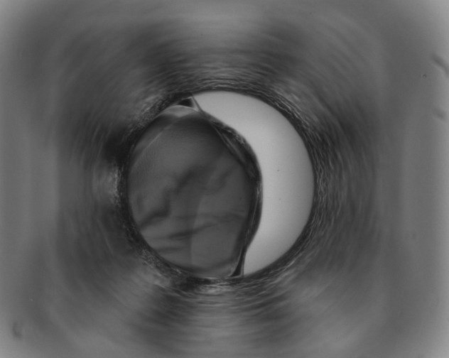 X0000091000219200708301342