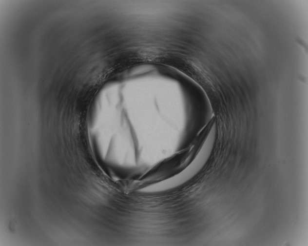 X0000091000221200708301342