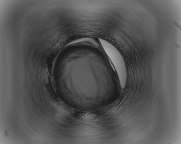 X0000091000223200708301342