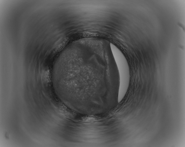 X0000091000224200708301342