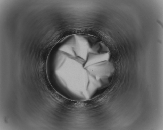 X0000091000225200708301342