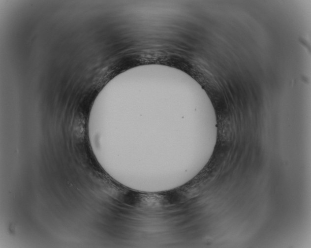 X0000091000226200708301341