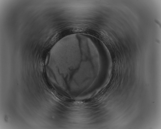X0000091000227200708301341