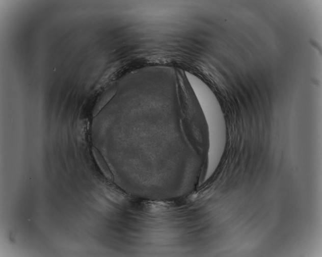 X0000091000229200708301341