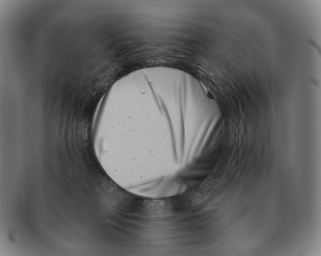 X0000091000230200708301341