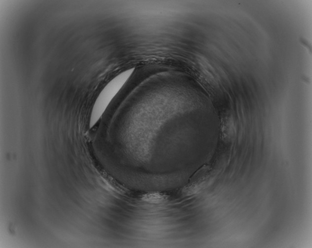 X0000091000231200708301341