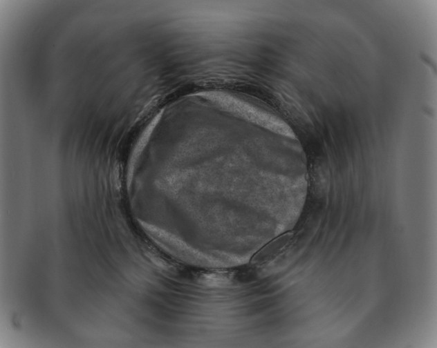 X0000091000232200708301341
