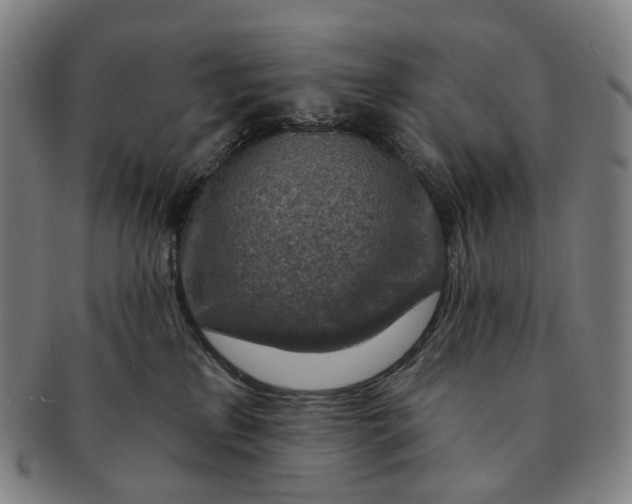 X0000091000233200708301341