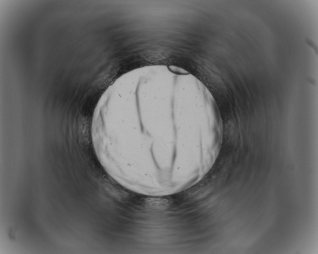 X0000091000234200708301341