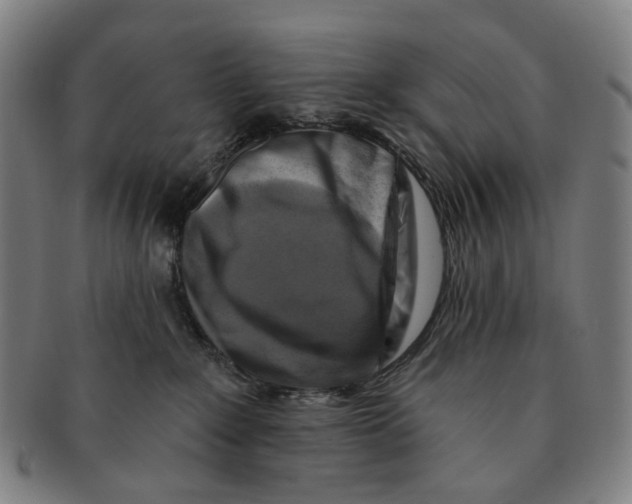 X0000091000235200708301341