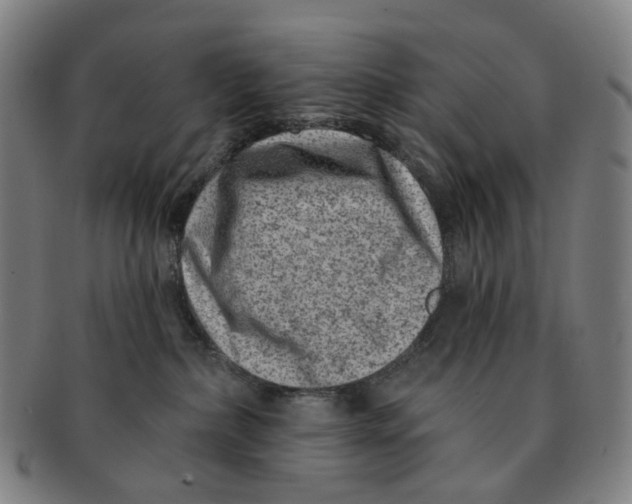 X0000091000236200708301341