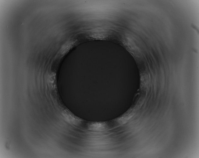X0000091000237200708301341