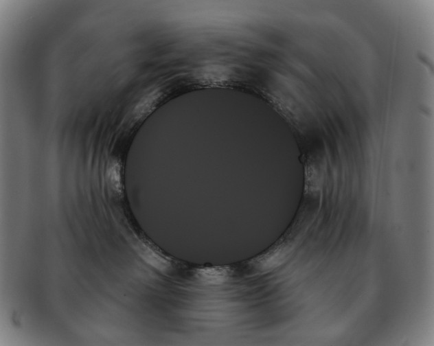 X0000091000238200708301341
