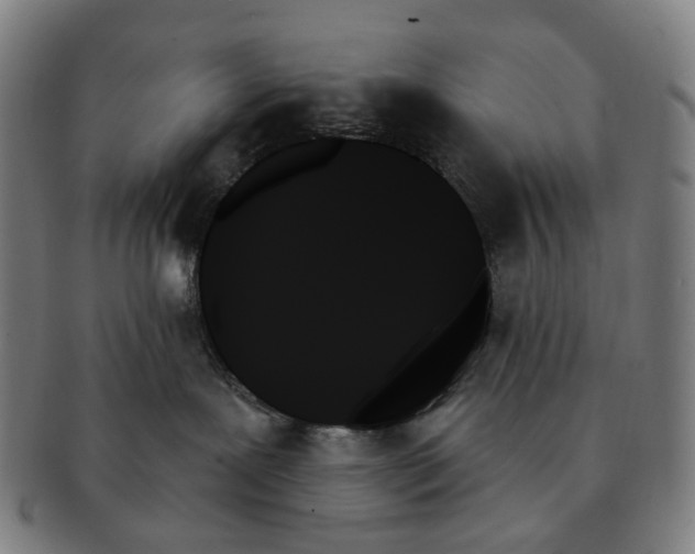 X0000091000239200708301341