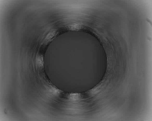 X0000091000240200708301341