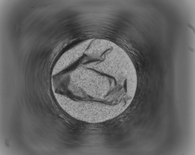 X0000091000241200708301341
