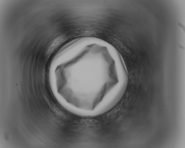 X0000091000242200708301341