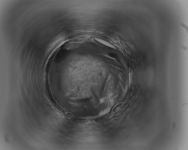 X0000091000243200708301341